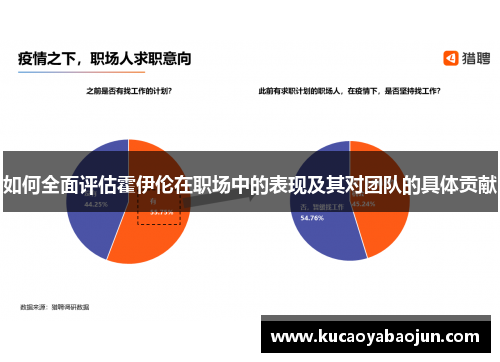 如何全面评估霍伊伦在职场中的表现及其对团队的具体贡献