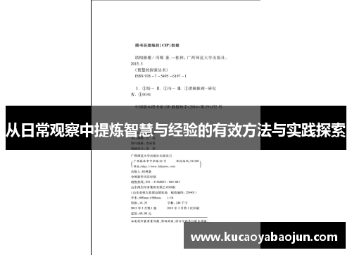 从日常观察中提炼智慧与经验的有效方法与实践探索